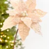 19" x 13.5" Taupe Poinsettia Stem